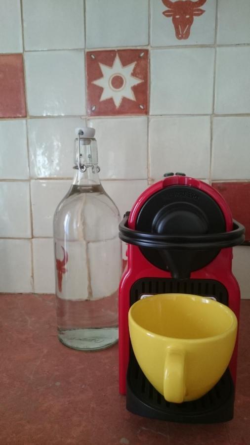 Ceret Pyrenean Star Appartement Buitenkant foto